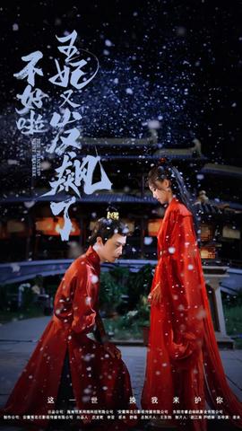 不好啦，王妃又发飙了(全集)