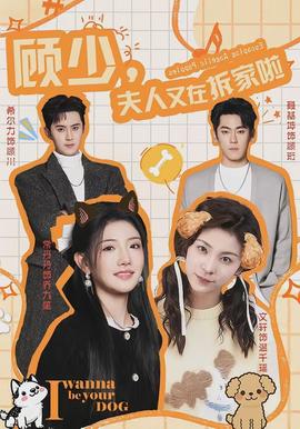 顾少，夫人又在拆家啦(全集)