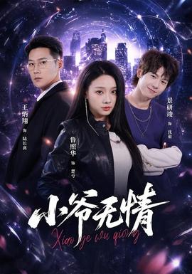 小爷无情(全集)